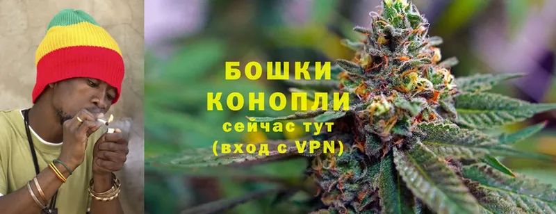 Шишки марихуана SATIVA & INDICA  купить наркоту  Вяземский 